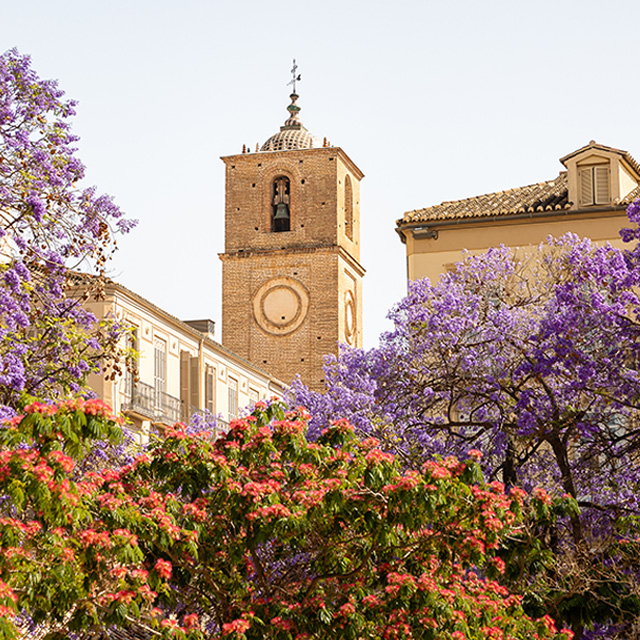 Städtereise nach Málaga im Wert von bis zu CHF 1'000.-